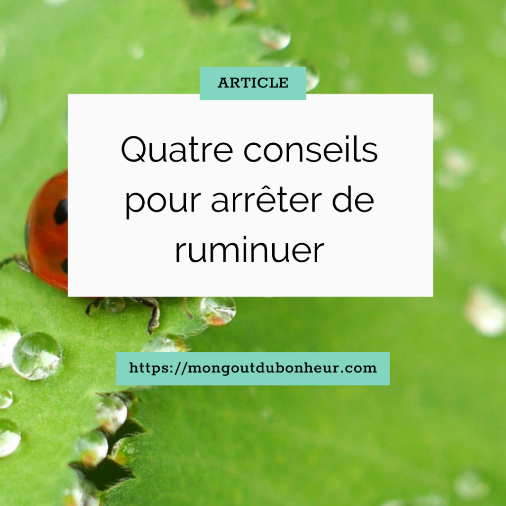 ruminer